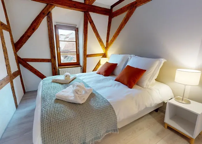 Lägenhet La Balade De Molly Colmar